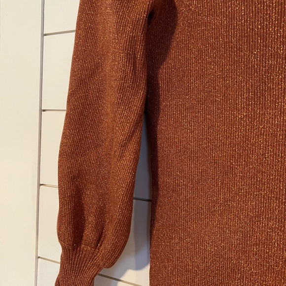 Rust Long-Sleeve Turtleneck Dress - Picture 2 of 4